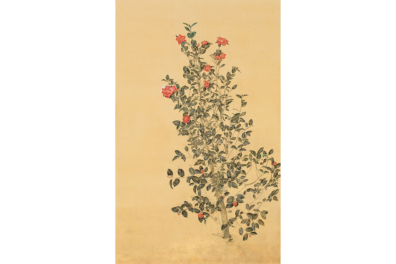 blooming 1 秋山由佳