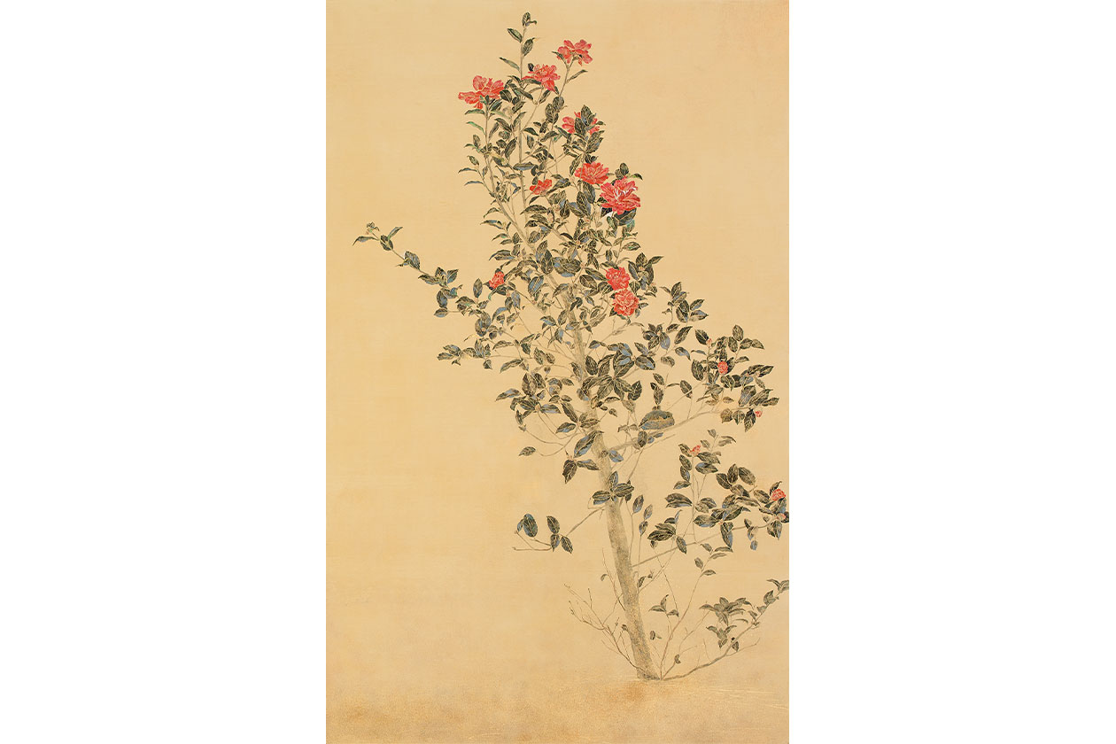 blooming 2 秋山由佳